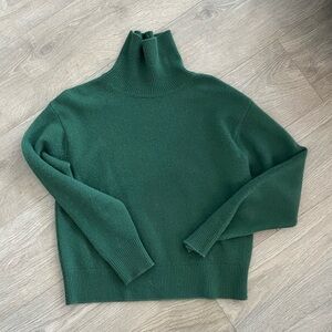 Aritzia Cashmere Relaxed Turtleneck